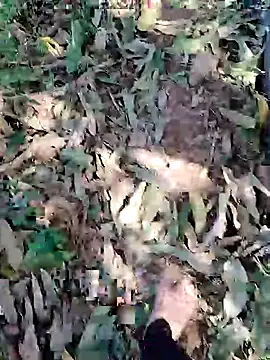 blackbeauty321 online show from 03-03-26, 09:05