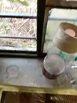 blackbeauty321 online show from 02-26-26, 11:21