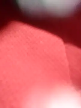 jackkk0011 online show from 02-26-26, 12:49