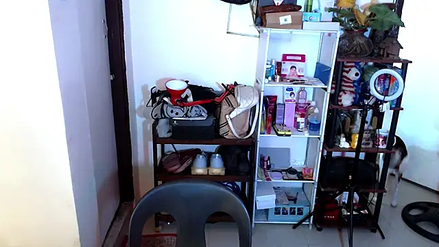 sweetasian zoe online show from 04-17-26, 06:11