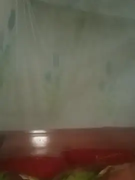 Bemy9988 online show from 03-08-26, 05:44