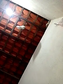 erotil 1 online show from 03-28-26, 04:13