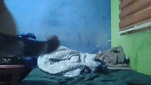 Soylilayblue online show from 03-25-26, 06:46