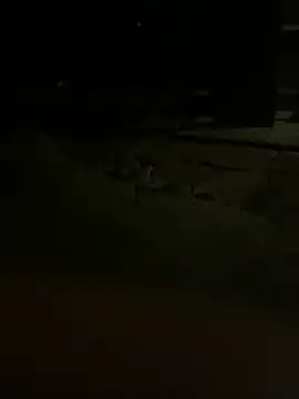 Snapshot of princessandthefootjob chatting on 03-31-26, 04:36 princessandthefootjob online show from 03-31-26, 04:36