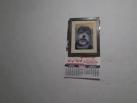 DIEGOLUIS2026 online show from 03-06-26, 03:56