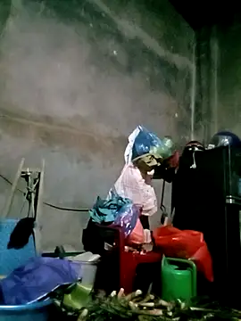 elen8800 online show from 02-24-26, 11:22