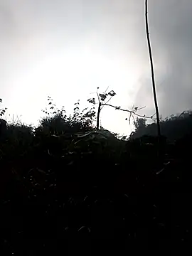 elen8800 online show from 03-03-26, 01:12