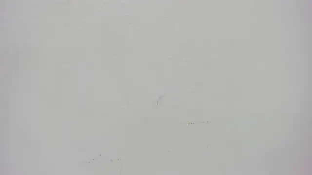 ursafrost online show from 05-06-26, 03:43