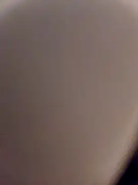 Snapshot of skynct2007 chatting on 02-24-26, 05:41 skynct2007 online show from 02-24-26, 05:41