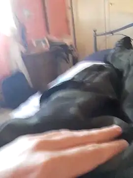 ilcazzone32 online show from 04-19-26, 02:07