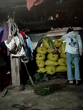 pic8800 online show from 04-03-26, 01:56