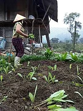 Heylen hooo online show from 03-12-26, 10:41