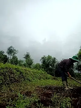 lyly sexx online show from 04-02-26, 02:30