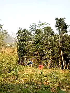 lyly sexx online show from 04-07-26, 12:56