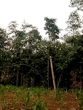 lyly sexx online show from 04-16-26, 12:44