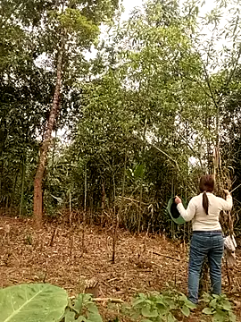 lyly sexx online show from 03-28-26, 01:06