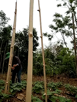 lyly sexx online show from 04-01-26, 02:02