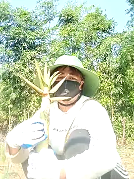 lyly sexx online show from 04-08-26, 02:13