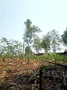 lyly sexx online show from 04-14-26, 07:02