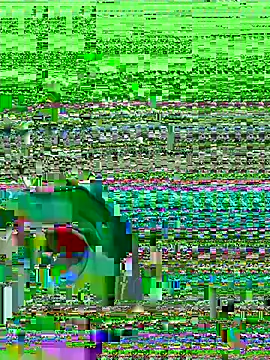 midsize 94 online show from 02-26-26, 03:39