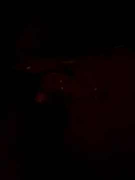 boythichlo99 online show from 03-05-26, 05:20