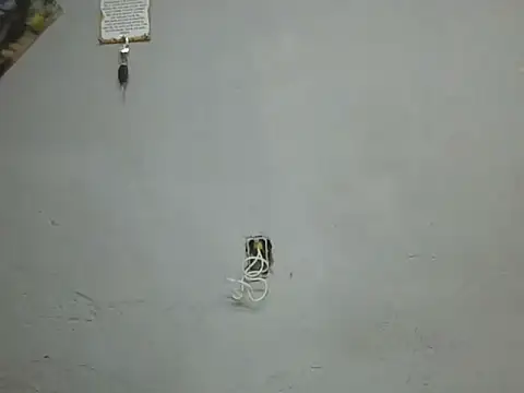 Snapshot of UrsoBissexualPauGrosso chatting on 03-28-26, 12:22 UrsoBissexualPauGrosso online show from 03-28-26, 12:22