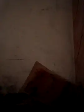 CoralN online show from 04-01-26, 03:52