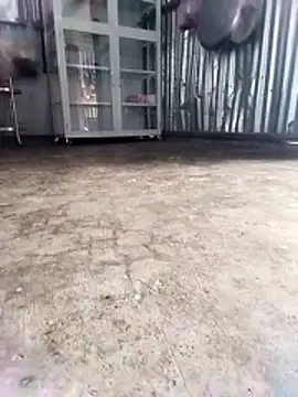 Malisa-aa online show from 03-11-26, 12:04