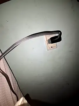 wolf297 online show from 02-28-26, 11:43