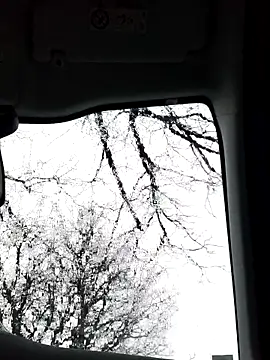 Snapshot of lui8181 chatting on 03-11-26, 05:40 lui8181 online show from 03-11-26, 05:40