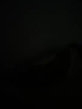 Snapshot of noorqwertz chatting on 05-08-26, 04:55 noorqwertz online show from 05-08-26, 04:55