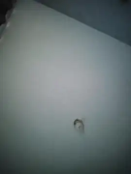 misteriosocam40 online show from 04-09-26, 05:41