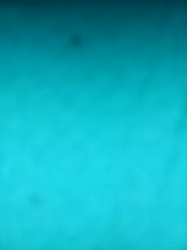 scarlett leex  online show from 04-12-26, 08:28