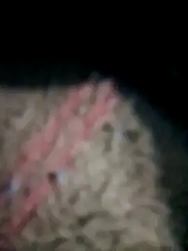 mahisingh34 online show from 04-25-26, 11:02