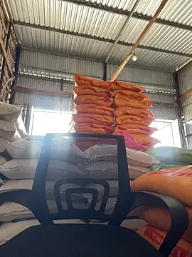 hoang15075 online show from 03-29-26, 09:00