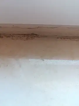 jeniferoo online show from 03-11-26, 08:41