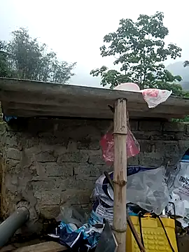 dualeo11 online show from 03-27-26, 01:47