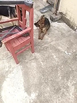 mylove202022 online show from 03-15-26, 02:07