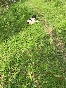 Zoe Luxxe  online show from 03-23-26, 08:30