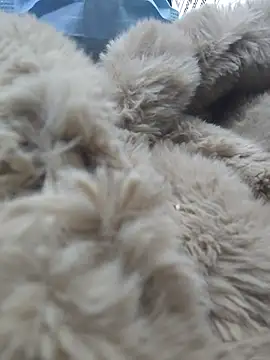 Naomimolie online show from 04-15-26, 11:27