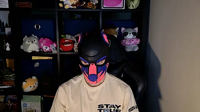 MellPUP online show from 06-17-26, 11:42