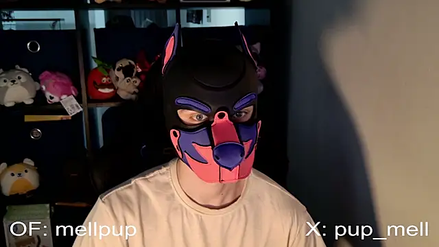 MellPUP online show from 06-25-26, 01:05
