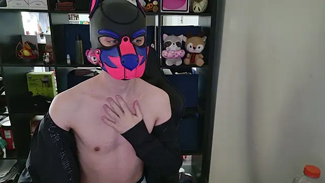 MellPUP online show from 03-31-26, 05:48