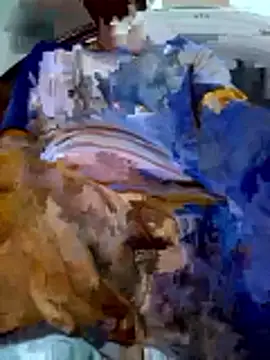 Snapshot of PgL_43 chatting on 03-03-26, 11:17 PgL 43 online show from 03-03-26, 11:17