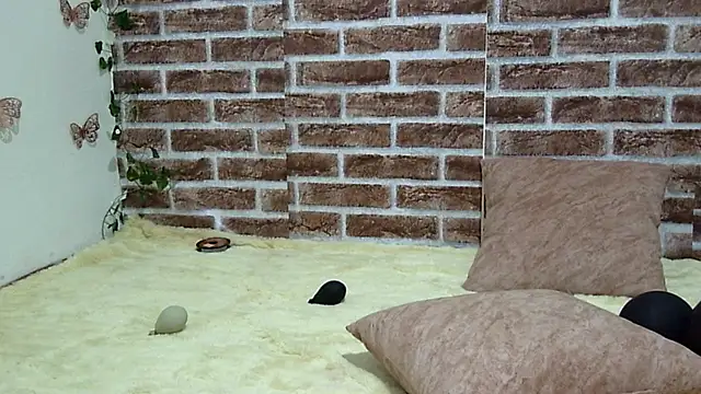 Katia Cutte online show from 03-15-26, 09:44