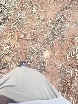 ActiveDick Telugu online show from 03-20-26, 06:14