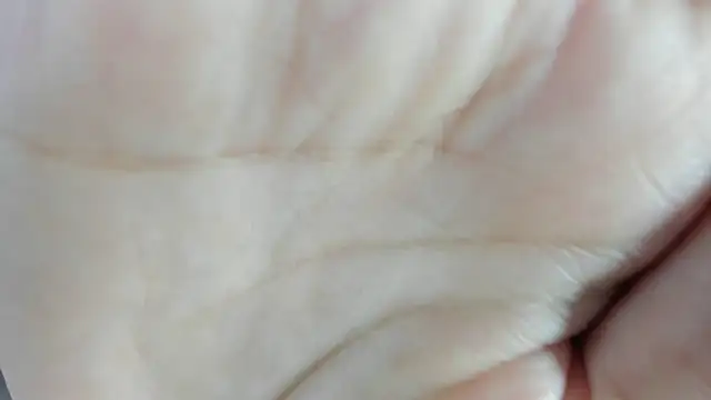 Angell cherryht online show from 03-28-26, 08:43