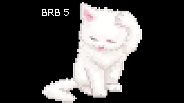 BlinkingDross online show from 05-11-26, 02:45