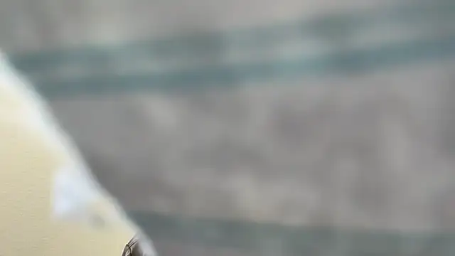 the-gen-xxx online show from 03-17-26, 11:08