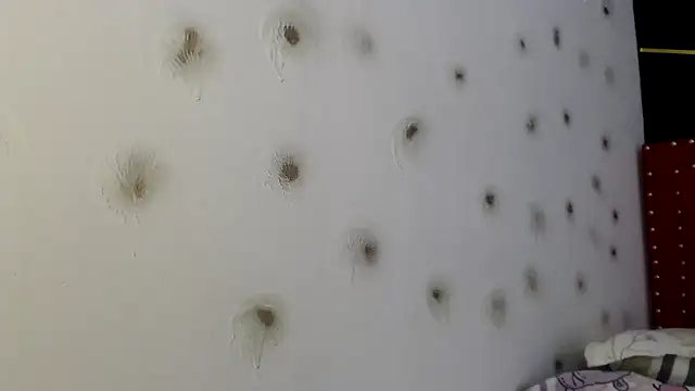 danielawidx online show from 04-15-26, 01:48